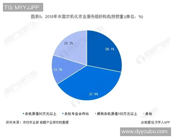 中国足球超级联赛发展现状与未来趋势分析：机遇、挑战与改革路径探讨