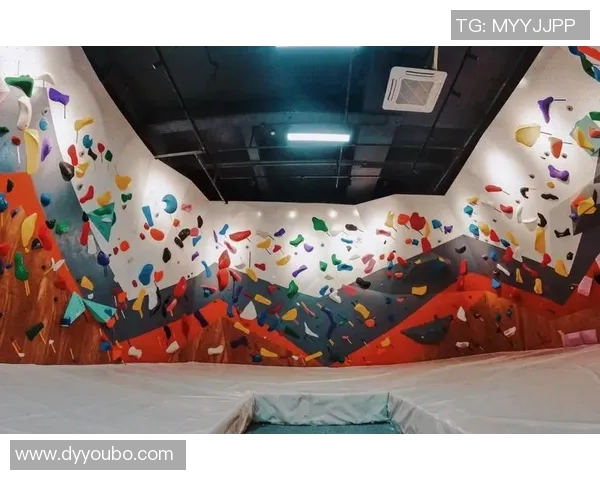 广州攀岩队的力量揭秘：挑战极限的勇者之路与团队精神