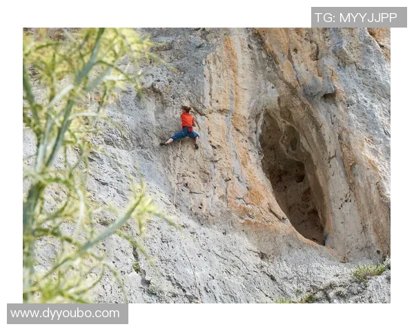 成都攀岩队心理素质排名前十的最新研究成果揭示攀岩成功的关键因素