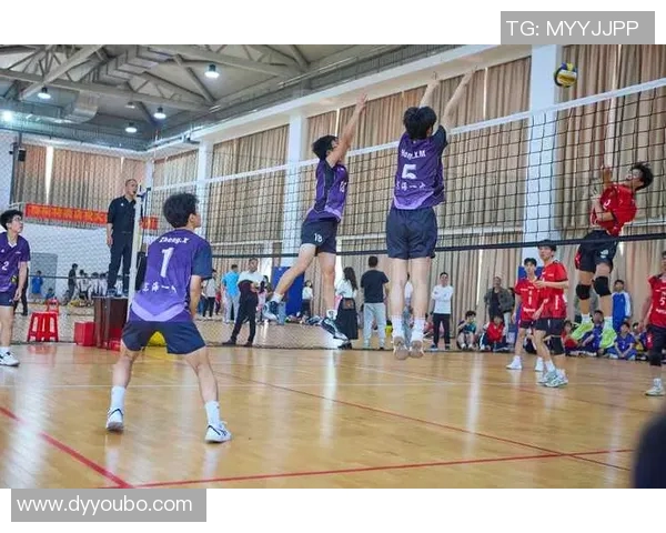 杭州排球队的耐力训练与比赛表现探讨聚焦排球的竞技精神与团队合作
