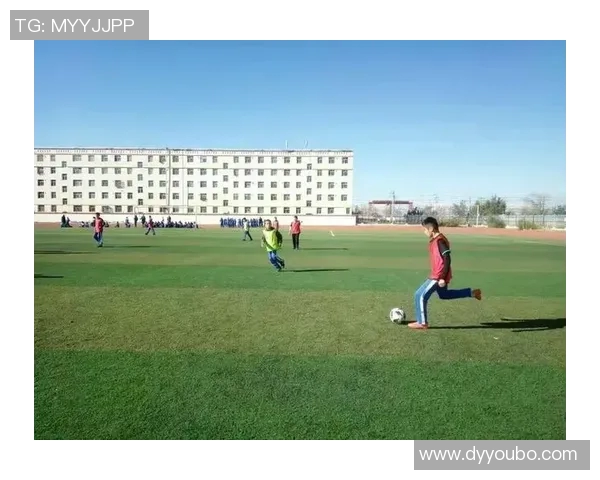 王芳独家解析足球技巧与战术心得分享助你提升球技与比赛表现